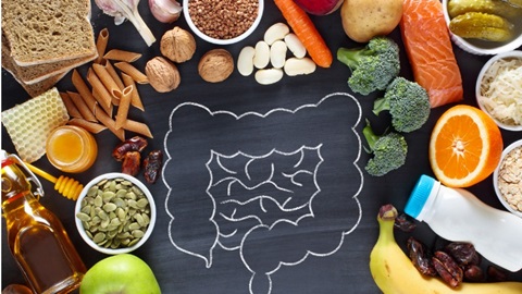 des aliments riches en fibres, bonnes pour le microbiote, placés autour d'un dessin d'intestin